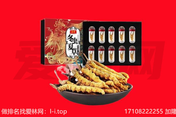 安顺回收虫草.jpg